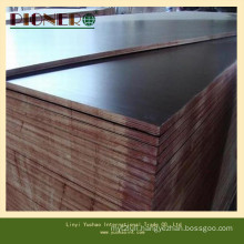 High Quality Cheap Price Poplar Core Film Faced Plywood for Iran